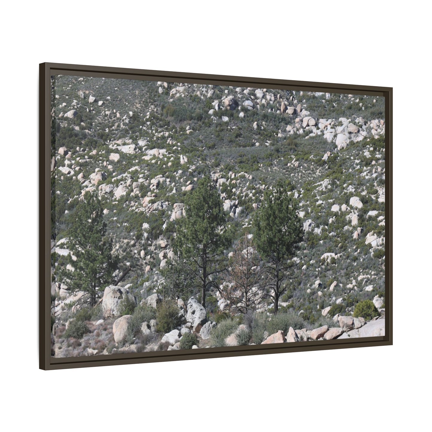 Rocky Hillside with Pine Trees - Unique Stretched Canvas Wall Art - Art By Earth