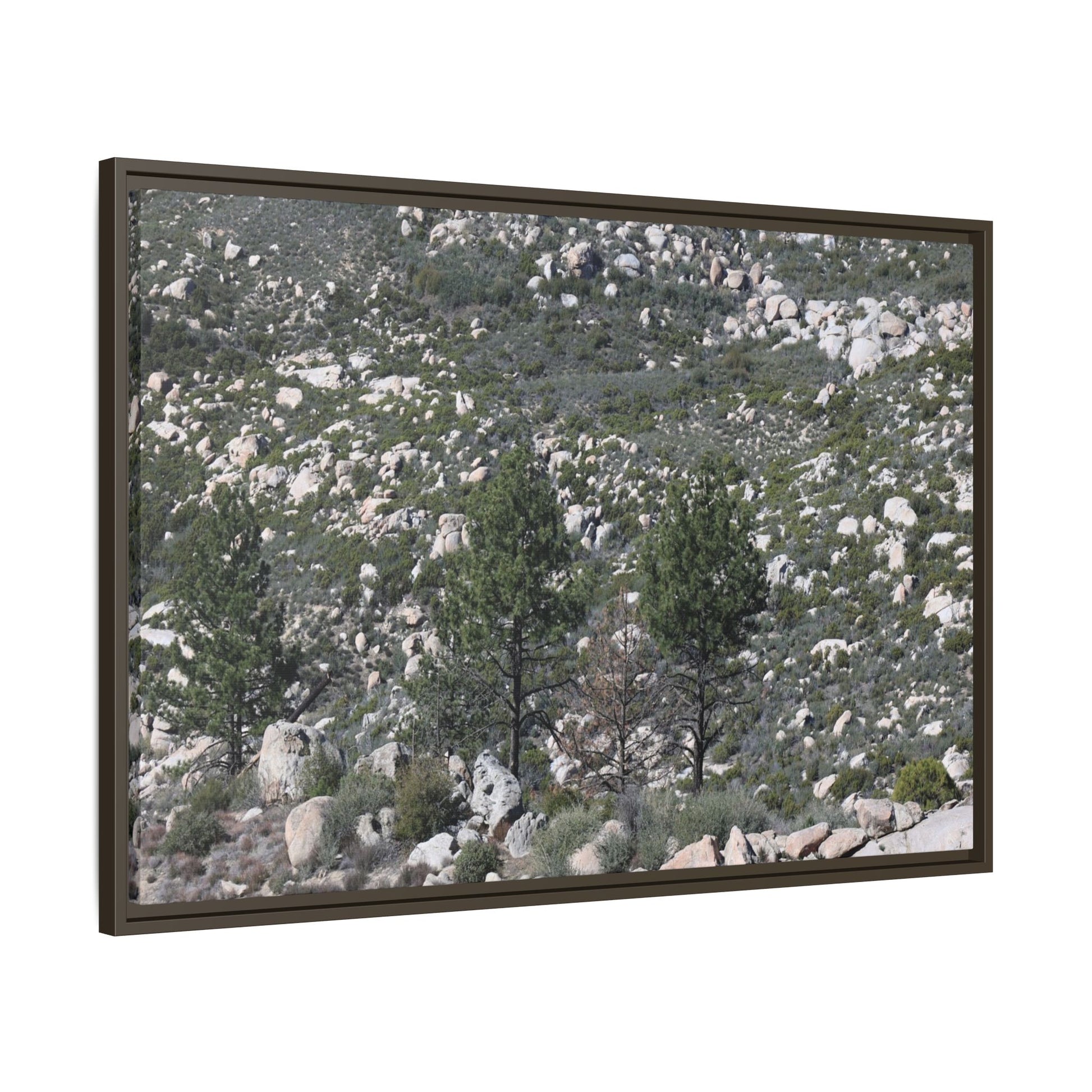 Rocky Hillside with Pine Trees - Unique Stretched Canvas Wall Art - Art By Earth