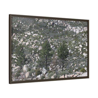 Rocky Hillside with Pine Trees - Unique Stretched Canvas Wall Art - Art By Earth