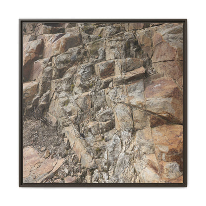 Stone's Silent Story - Unique Stretched Canvas Wall Art - Art By Earth