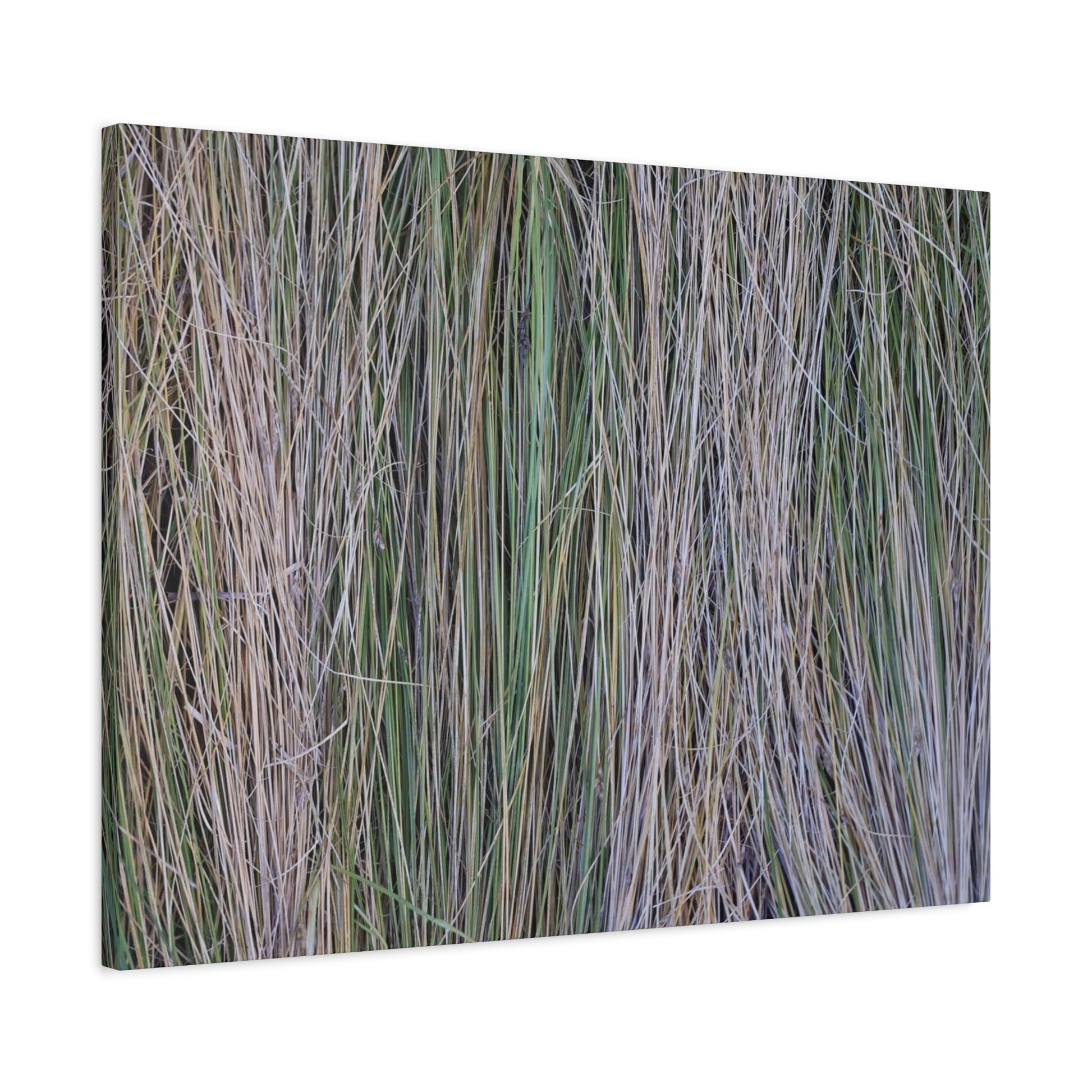 Whispers of Grass - Unique Frameless Canvas Wall Art - Art By Earth