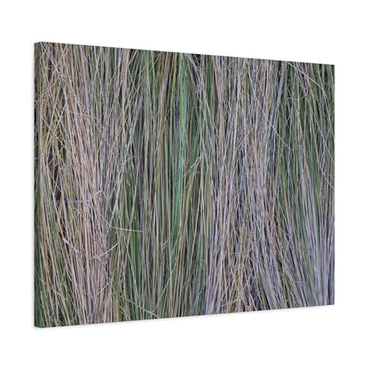 Whispers of Grass - Unique Frameless Canvas Wall Art - Art By Earth