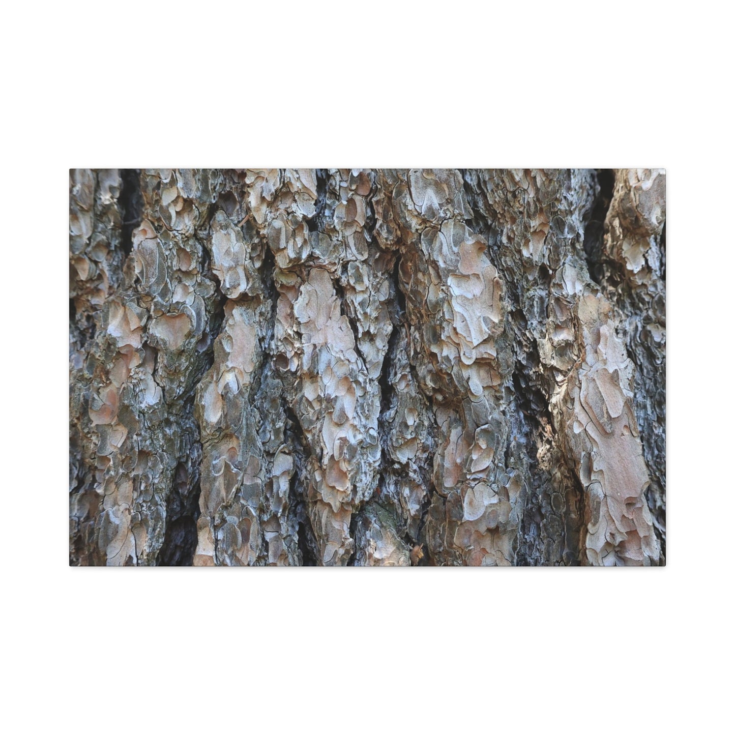 Elemental Tapestry - Unique Frameless Canvas Wall Art - Art By Earth