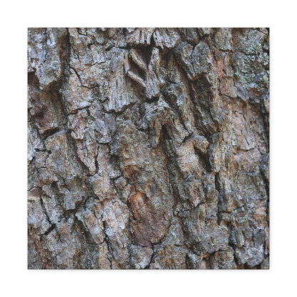 Rugged Canvas - Unique Frameless Canvas Wall Art - Art By Earth