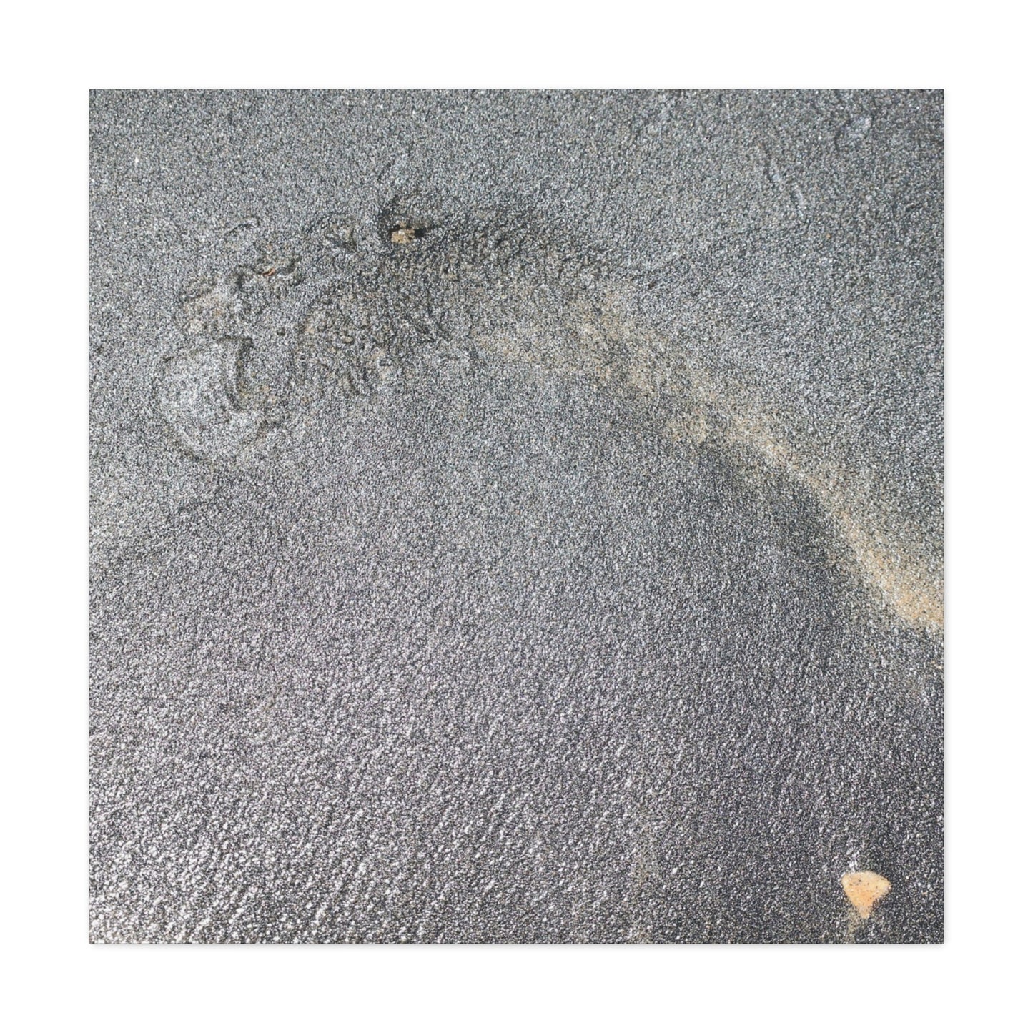 Ephemeral Whispers of Granite - Unique Frameless Canvas Wall Art - Art By Earth