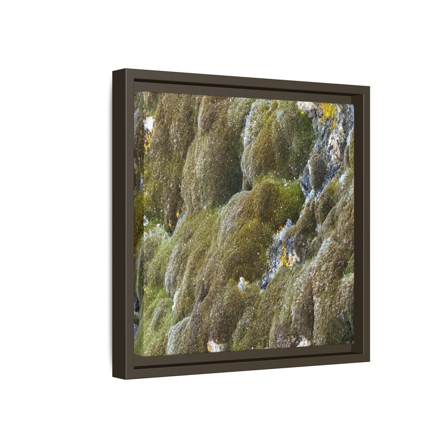 Moss Symphony - Unique Stretched Canvas Wall Art