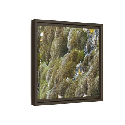 Moss Symphony - Unique Stretched Canvas Wall Art
