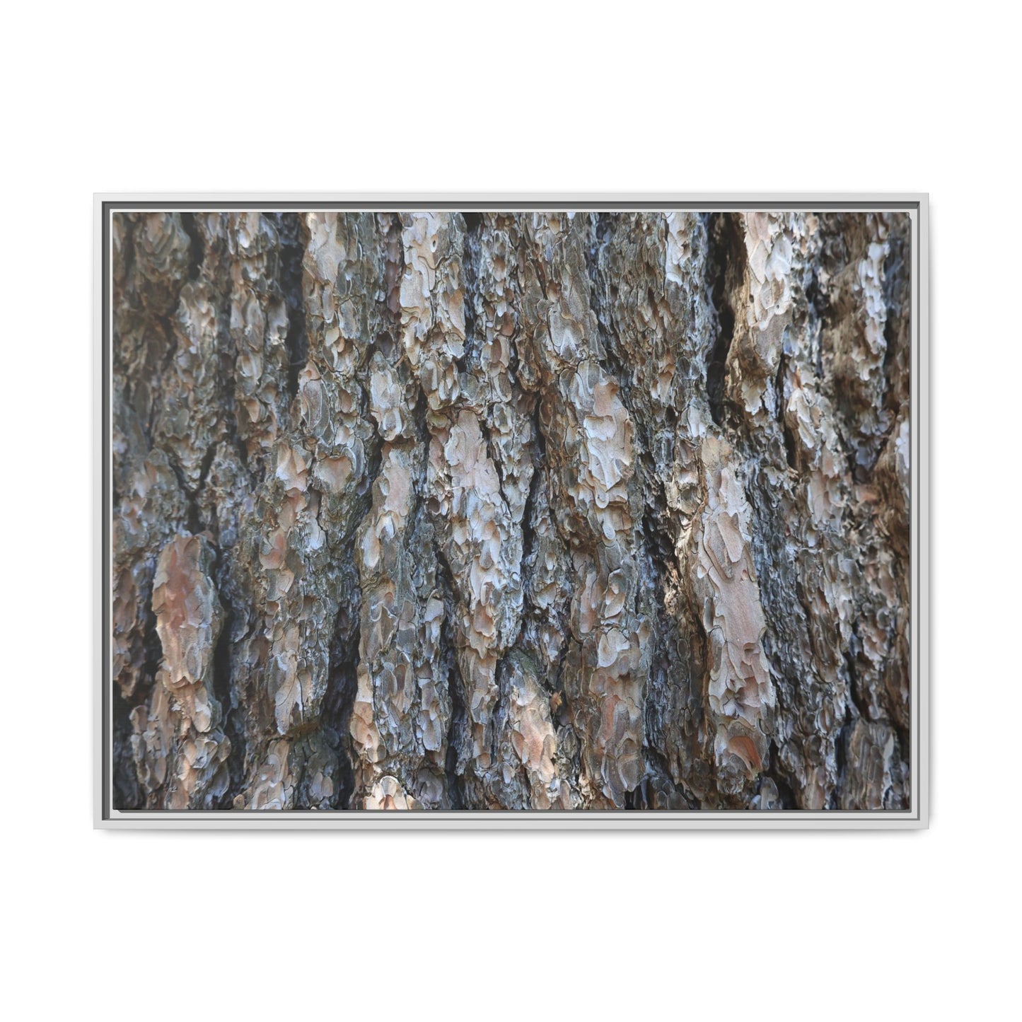 Bark Whispers - Unique Stretched Canvas Wall Art - Art By Earth