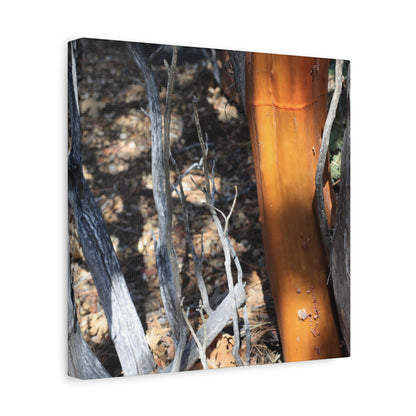 Burnt Forest Remnants - Unique Frameless Canvas Wall Art