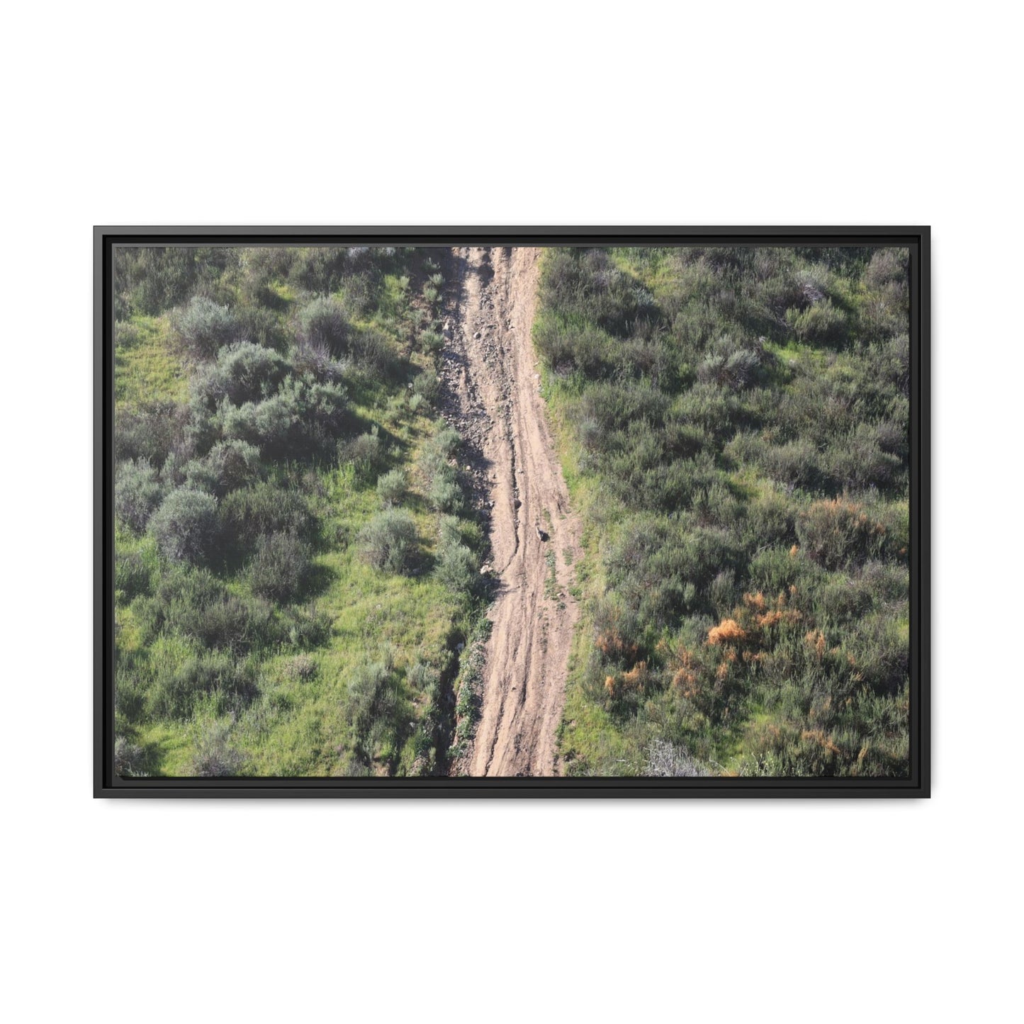 Desert Path Through Sage - Unique Stretched Canvas Wall Art - Art By Earth