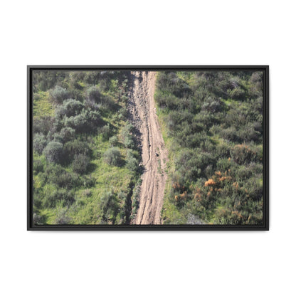 Desert Path Through Sage - Unique Stretched Canvas Wall Art - Art By Earth