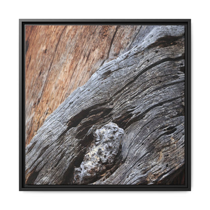 Time's Mark on Timber - Unique Stretched Canvas Wall Art - Art By Earth