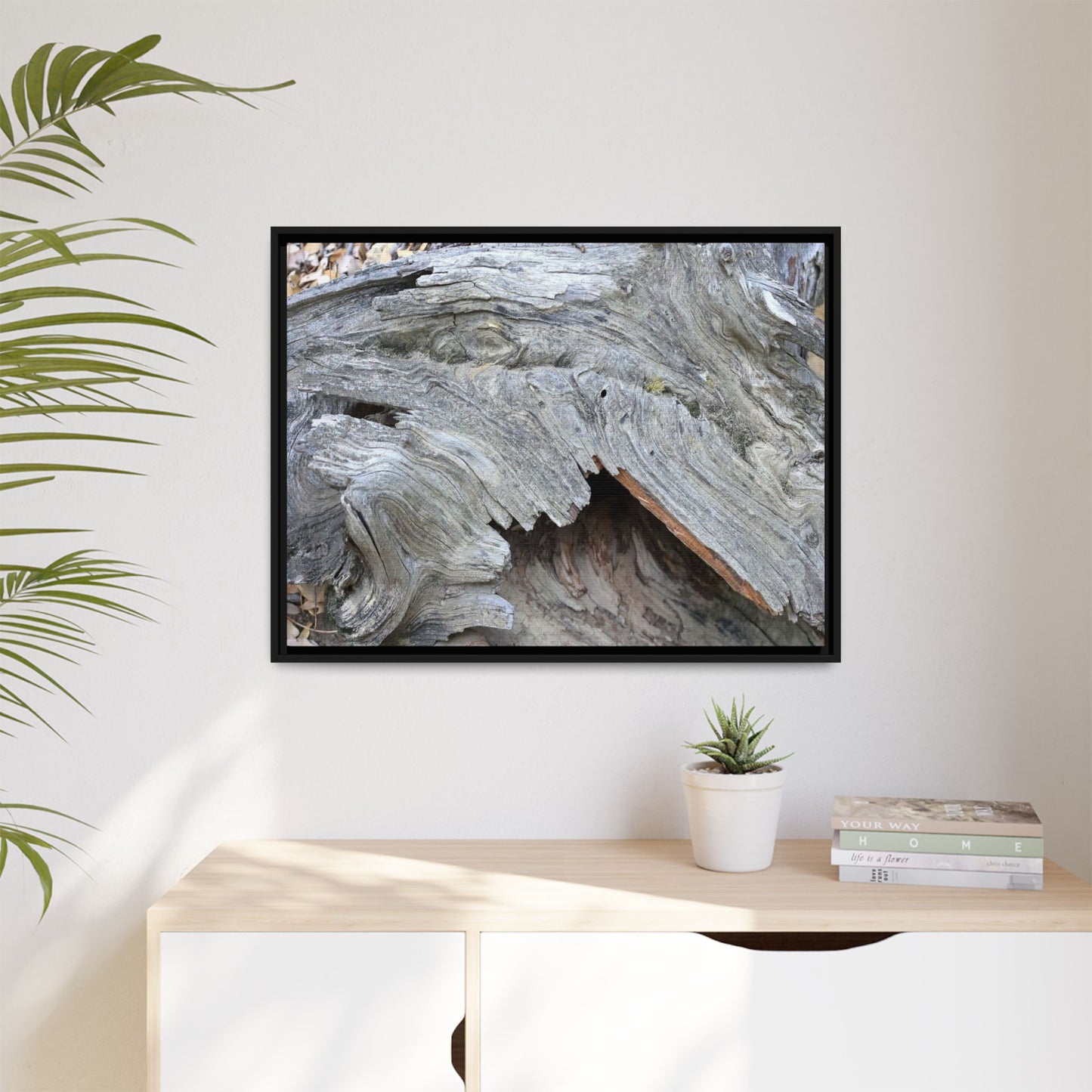 Driftwood Dreams - Unique Stretched Canvas Wall Art - Art By Earth