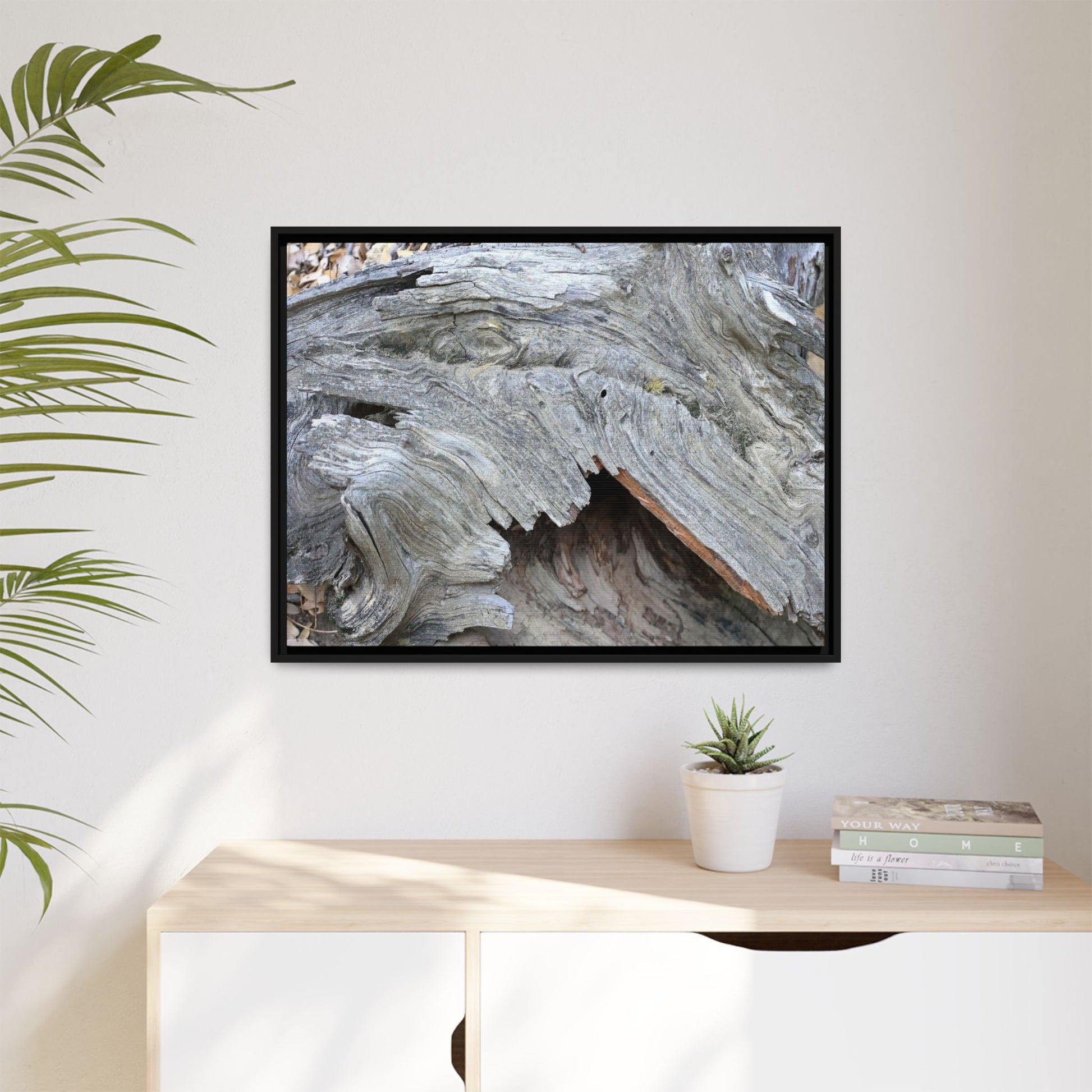 Driftwood Dreams - Unique Stretched Canvas Wall Art - Art By Earth