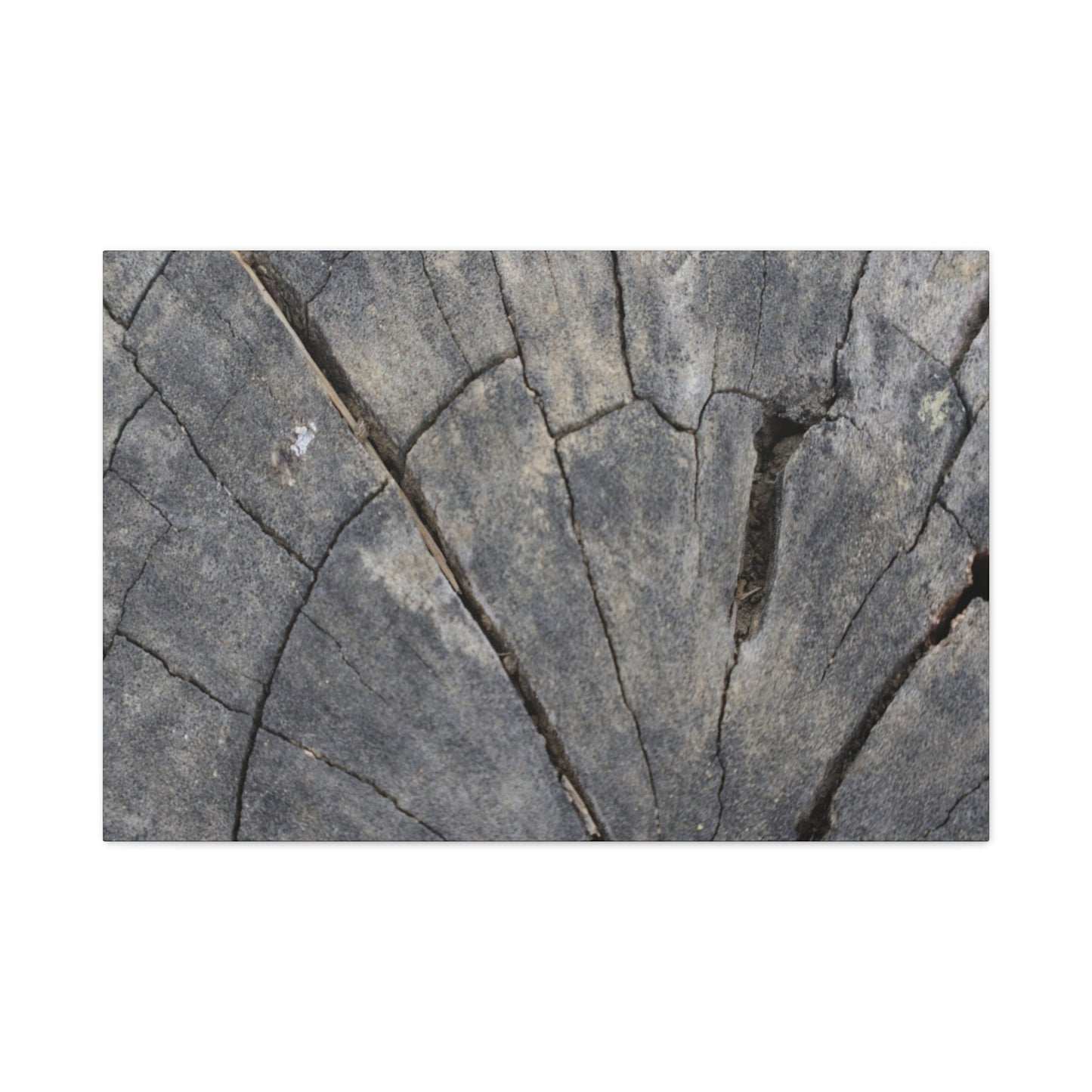 Geological Mosaic - Unique Frameless Canvas Wall Art - Art By Earth