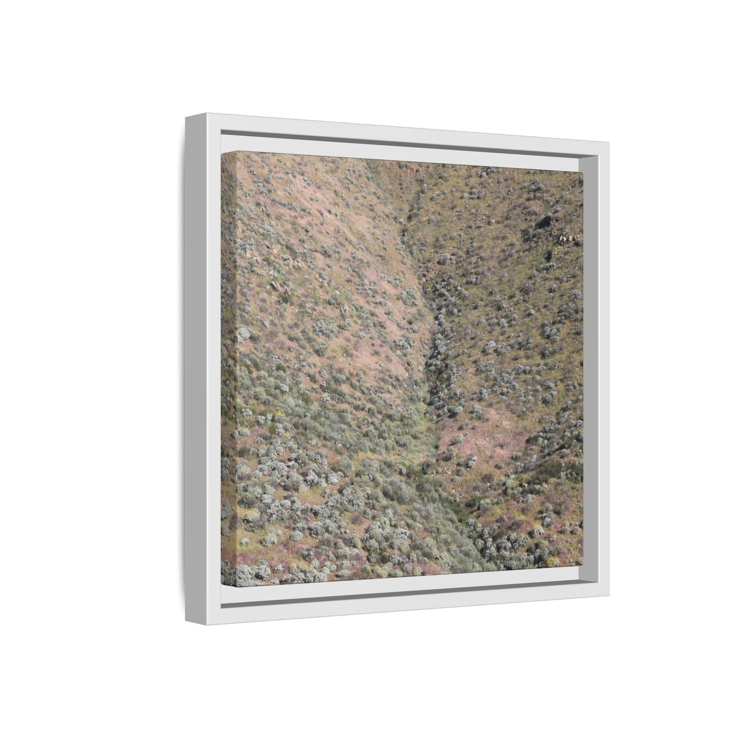 Mountain Slope with Desert Vegetation - Unique Stretched Canvas Wall Art - Art By Earth