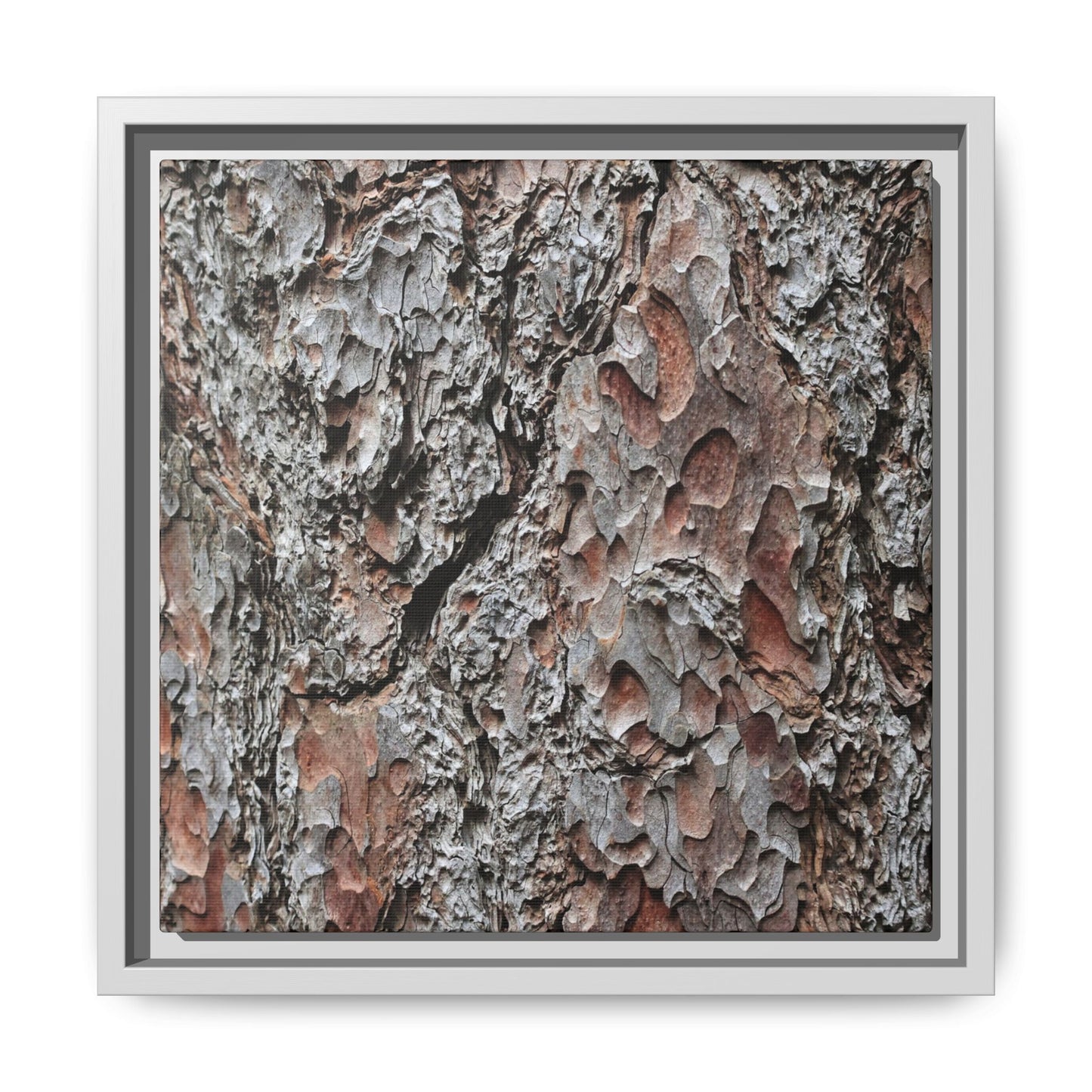 Bark Texture Symphony - Unique Stretched Canvas Wall Art - Art By Earth