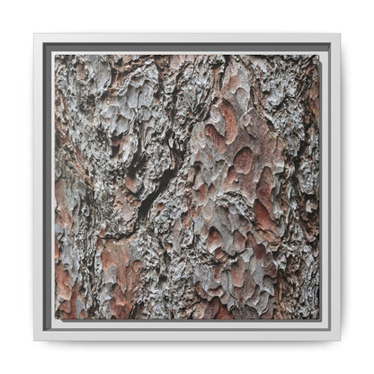 Bark Texture Symphony - Unique Stretched Canvas Wall Art - Art By Earth