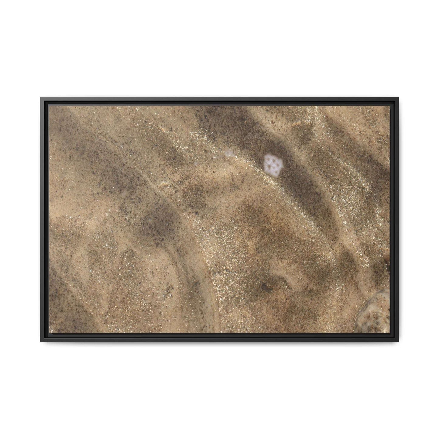 Underwater Sand Exploration - Unique Stretched Canvas Wall Art - Art By Earth