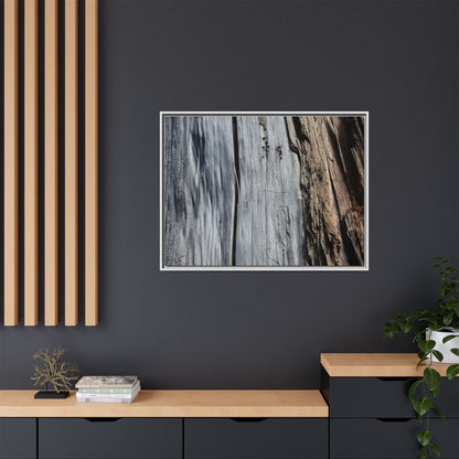 Wood's Lament - Unique Stretched Canvas Wall Art - Art By Earth