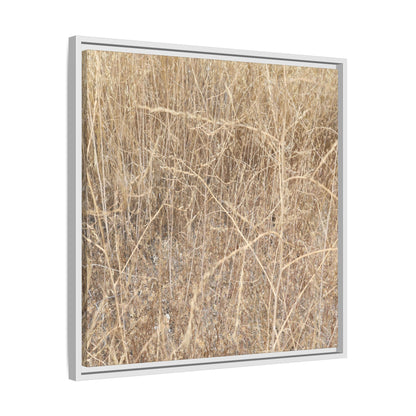 Golden Stalks - Unique Stretched Canvas Wall Art - Art By Earth