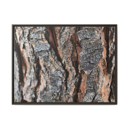 Fractured Nature - Unique Stretched Canvas Wall Art - Art By Earth