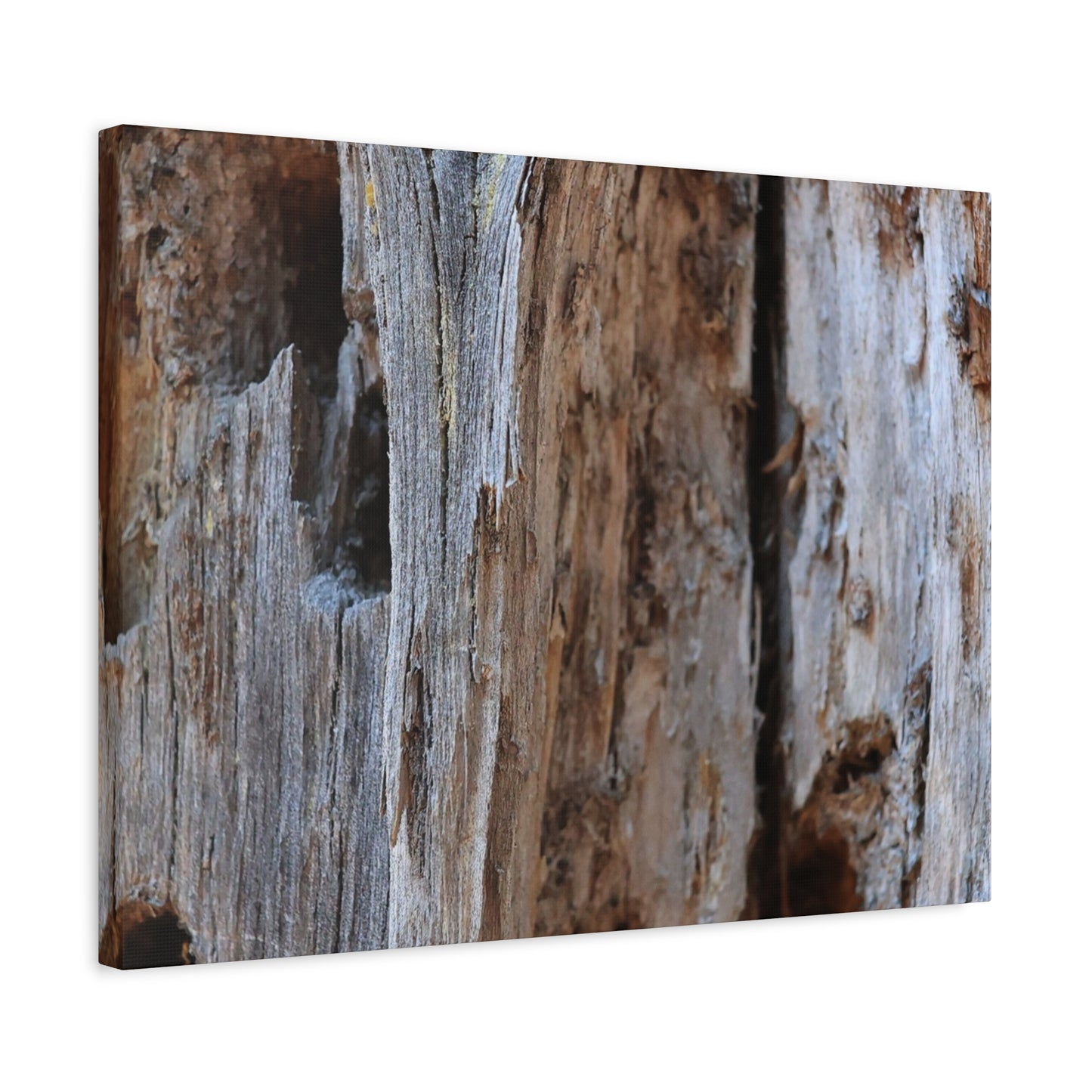Timber Tapestry - Unique Frameless Canvas Wall Art - Art By Earth