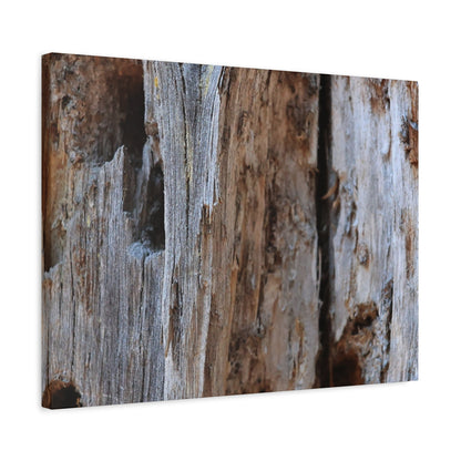 Timber Tapestry - Unique Frameless Canvas Wall Art - Art By Earth