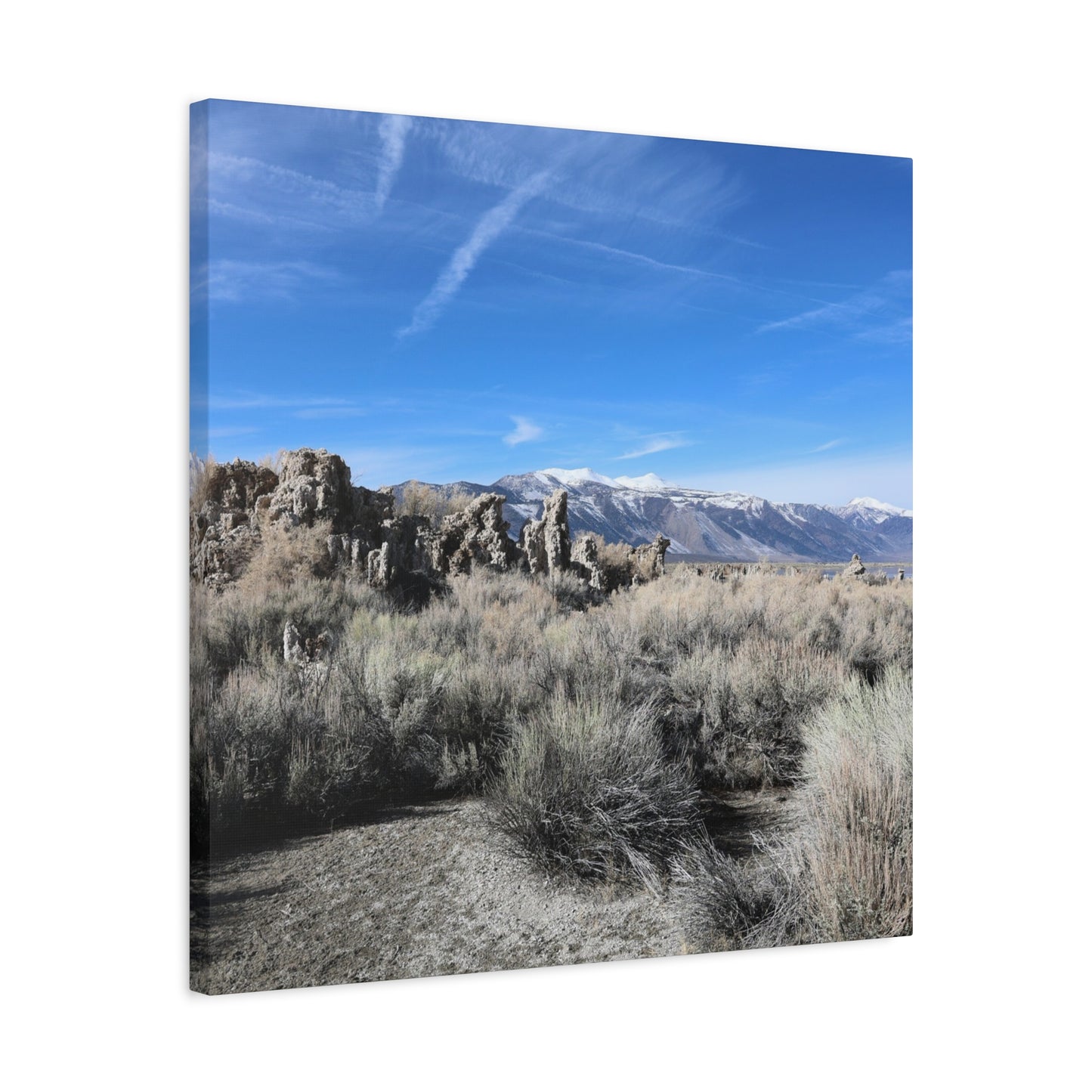 Echoes of Solitude - Unique Frameless Canvas Wall Art