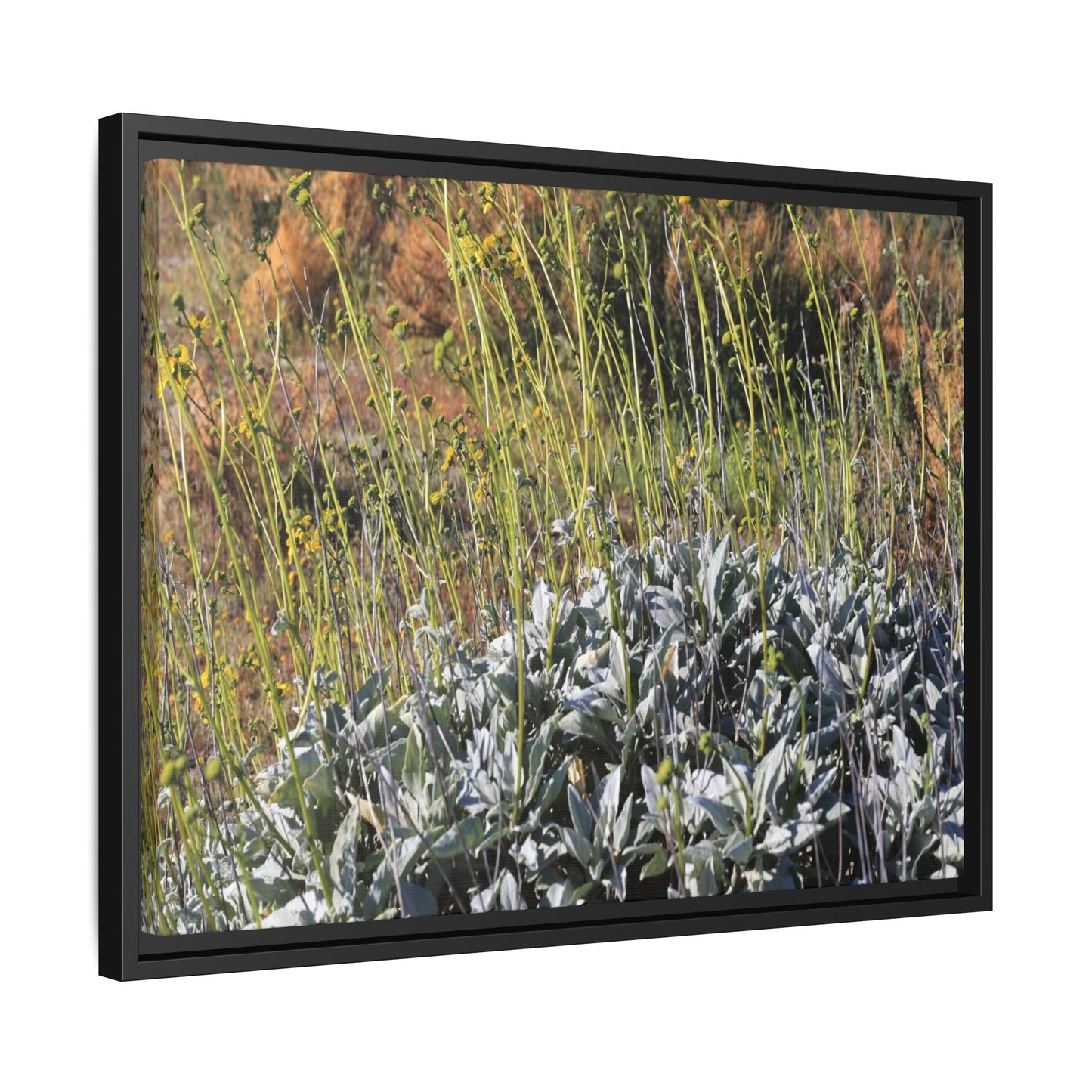 Arid Landscape with Yellow Flowers - Unique Stretched Canvas Wall Art - Art By Earth