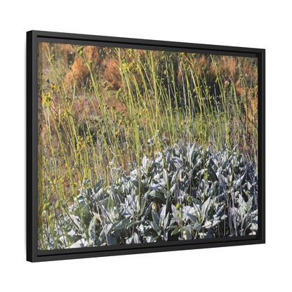 Arid Landscape with Yellow Flowers - Unique Stretched Canvas Wall Art - Art By Earth