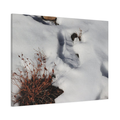 Snow's Tender Embrace - Unique Frameless Canvas Wall Art