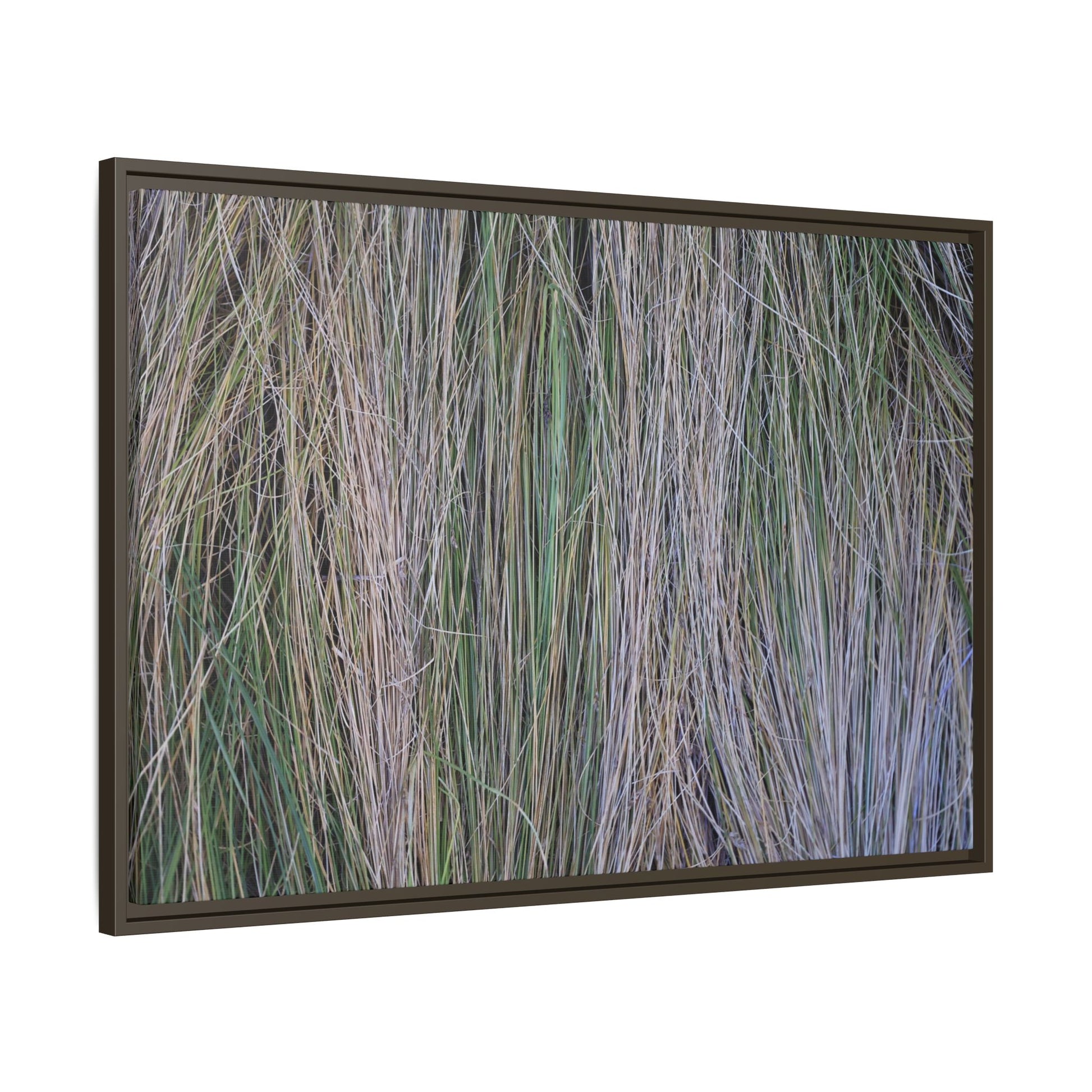 Whispers of Silver Grass - Unique Stretched Canvas Wall Art - Art By Earth