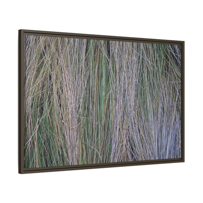 Whispers of Silver Grass - Unique Stretched Canvas Wall Art - Art By Earth