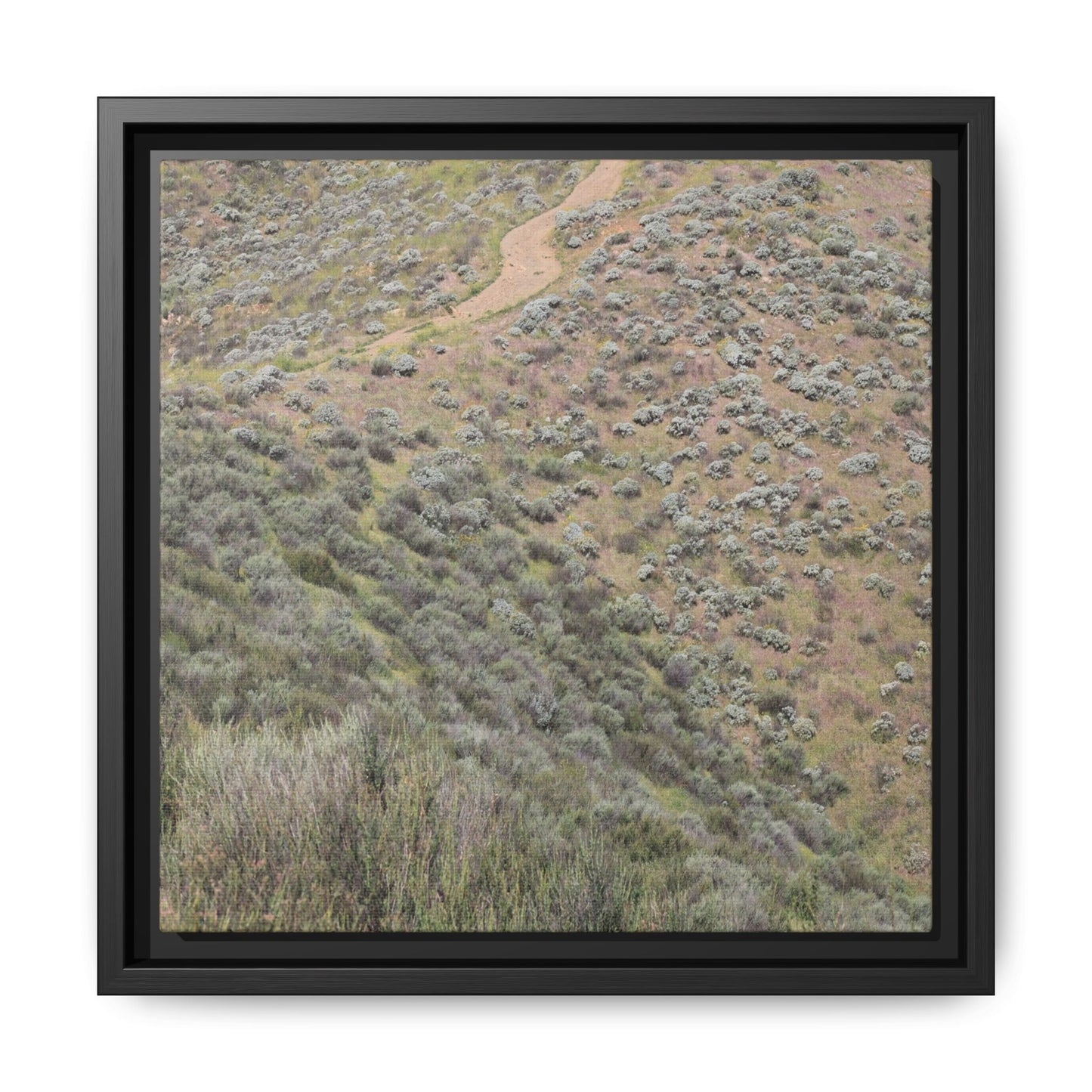Arid Landscape with Winding Path - Unique Stretched Canvas Wall Art - Art By Earth