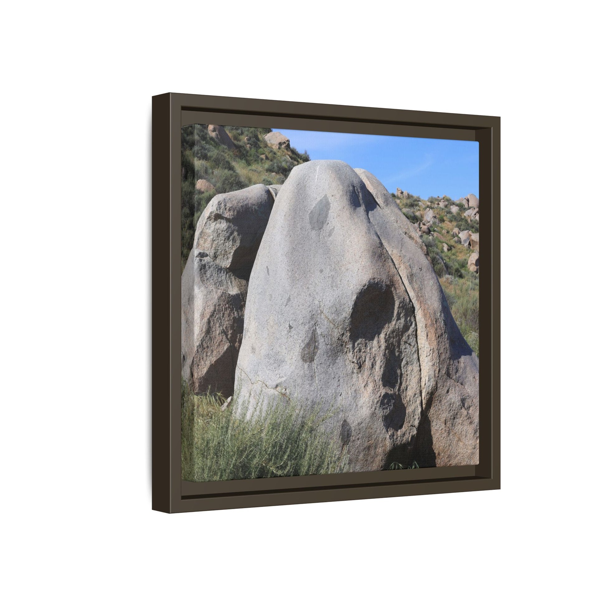 Skull Rock Desert - Unique Stretched Canvas Wall Art - Art By Earth