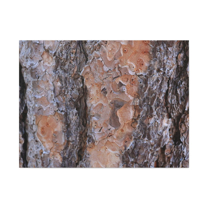 Terracotta Textures - Unique Frameless Canvas Wall Art - Art By Earth