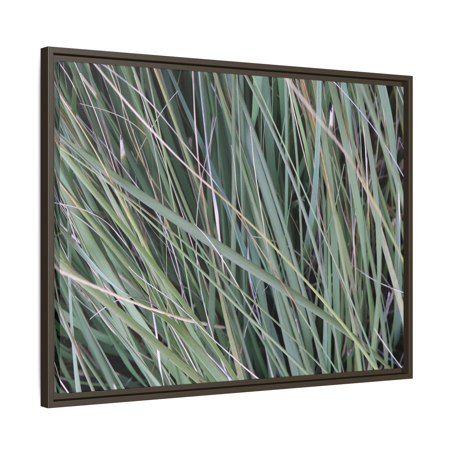 Grassland Symphony - Unique Stretched Canvas Wall Art - Art By Earth