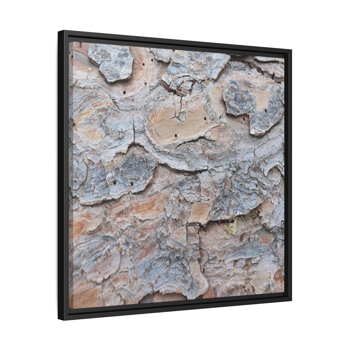 Peeling Memories - Unique Stretched Canvas Wall Art - Art By Earth