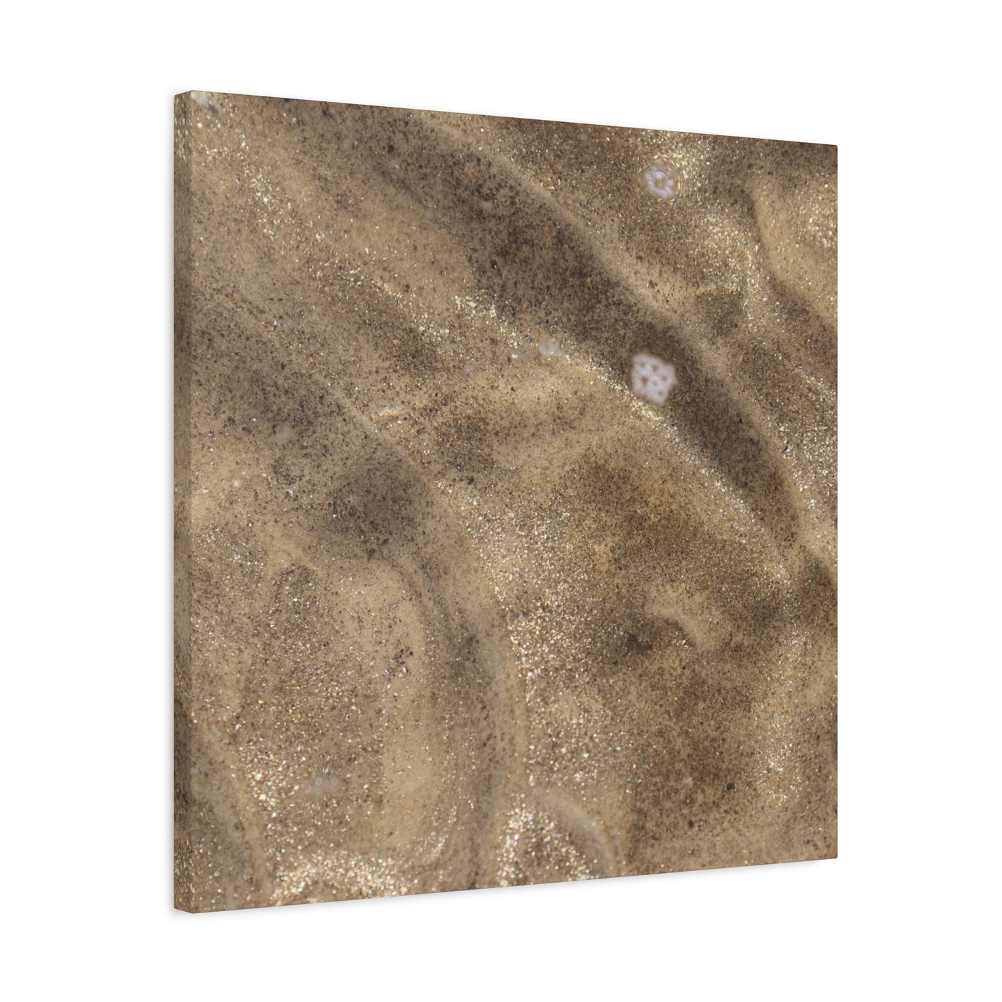 Sandy Shore Impressions - Unique Frameless Canvas Wall Art - Art By Earth