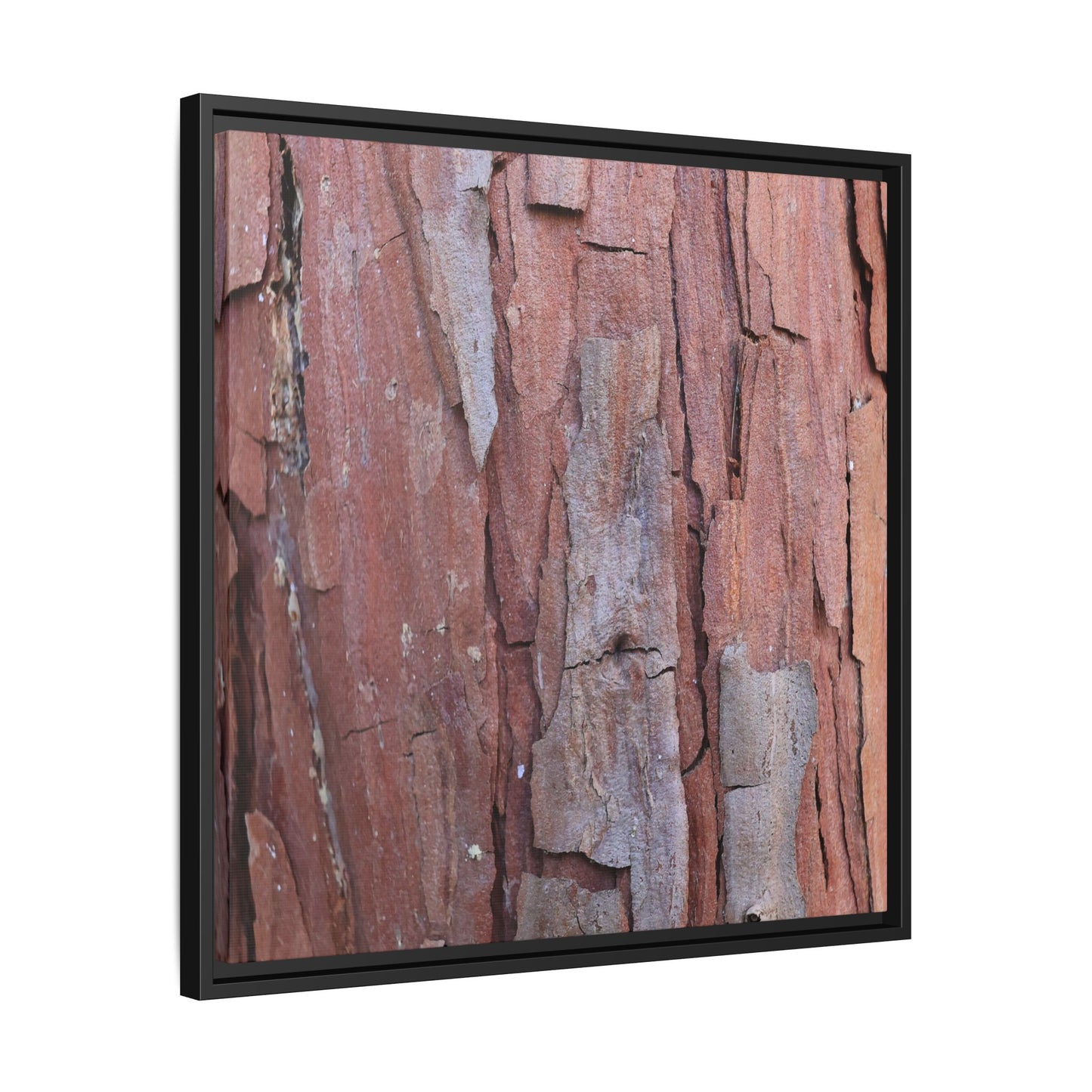Peeling Bark - Unique Stretched Canvas Wall Art - Art By Earth