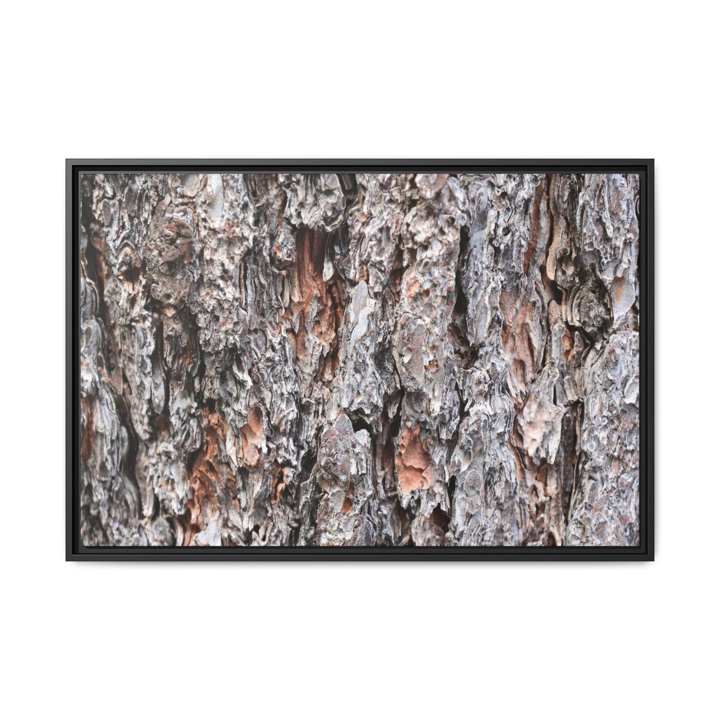 Rugged Cortex - Unique Stretched Canvas Wall Art - Art By Earth