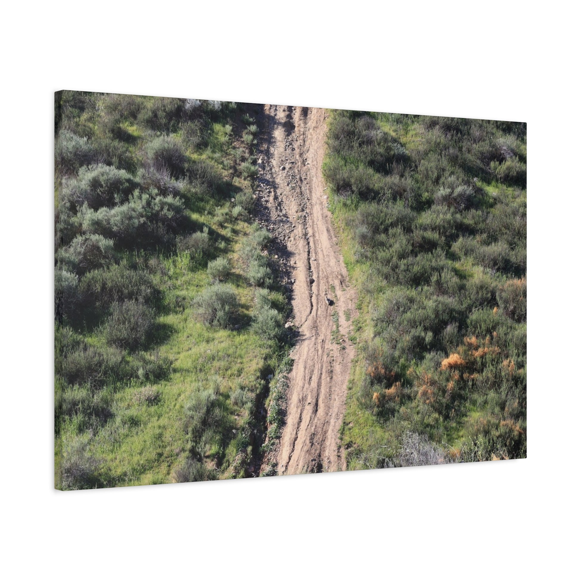 Straight Road Cutting Through Wilderness - Unique Frameless Canvas Wall Art - Art By Earth