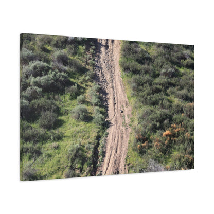 Straight Road Cutting Through Wilderness - Unique Frameless Canvas Wall Art - Art By Earth