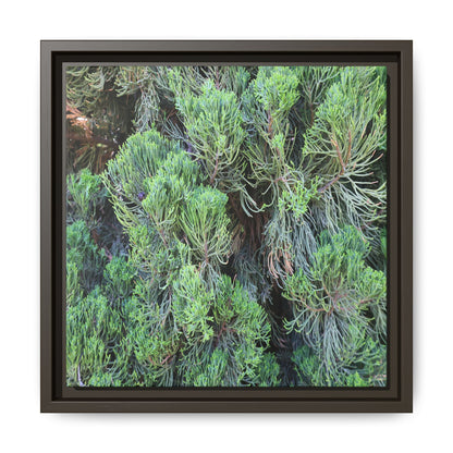 Verdant Whispers - Unique Stretched Canvas Wall Art - Art By Earth