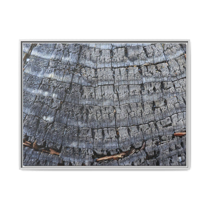 Charred Memories - Unique Stretched Canvas Wall Art - Art By Earth