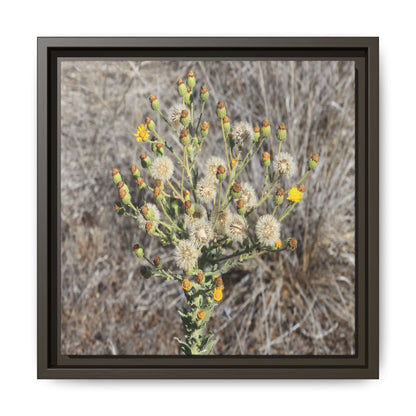 Whispers of the Dry Grass - Unique Stretched Canvas Wall Art - Art By Earth