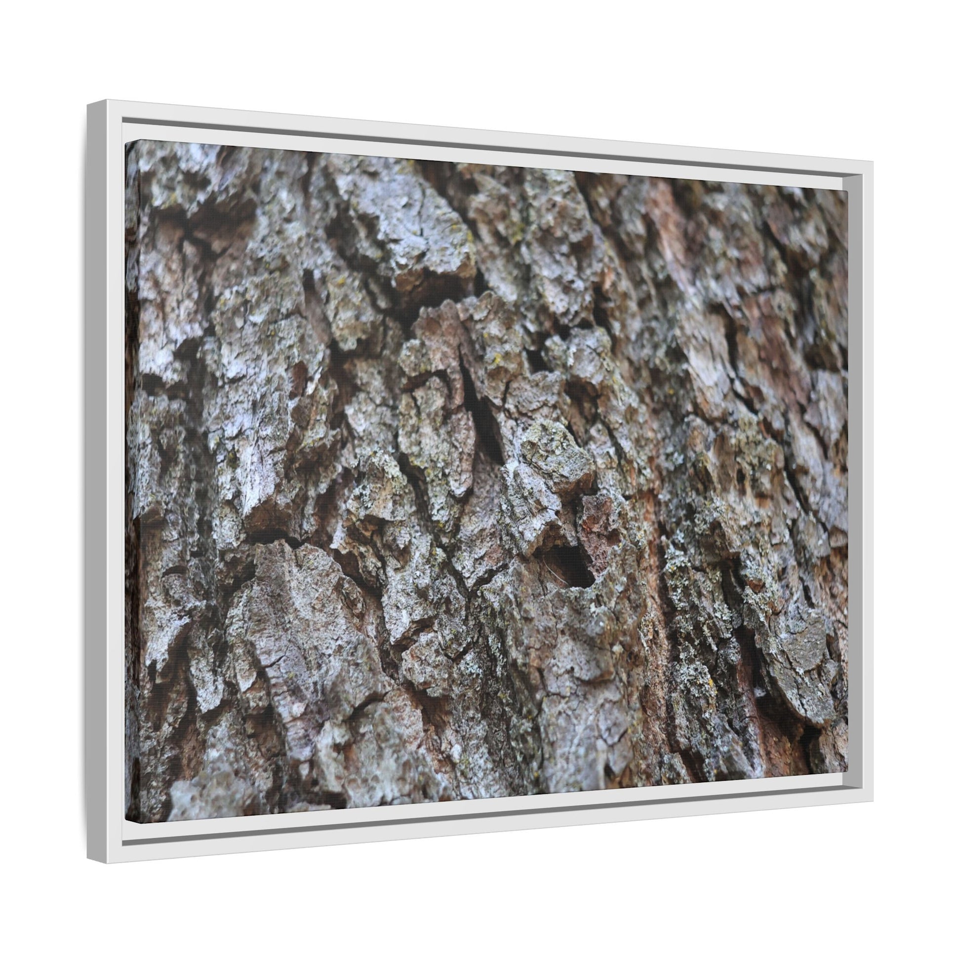 Woodland Canvas - Unique Stretched Canvas Wall Art - Art By Earth