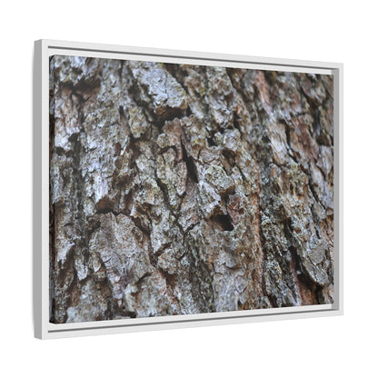 Woodland Canvas - Unique Stretched Canvas Wall Art - Art By Earth