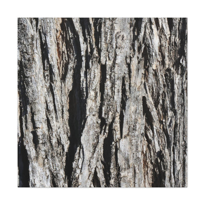 Bark Textures in Monochrome - Unique Frameless Canvas Wall Art - Art By Earth